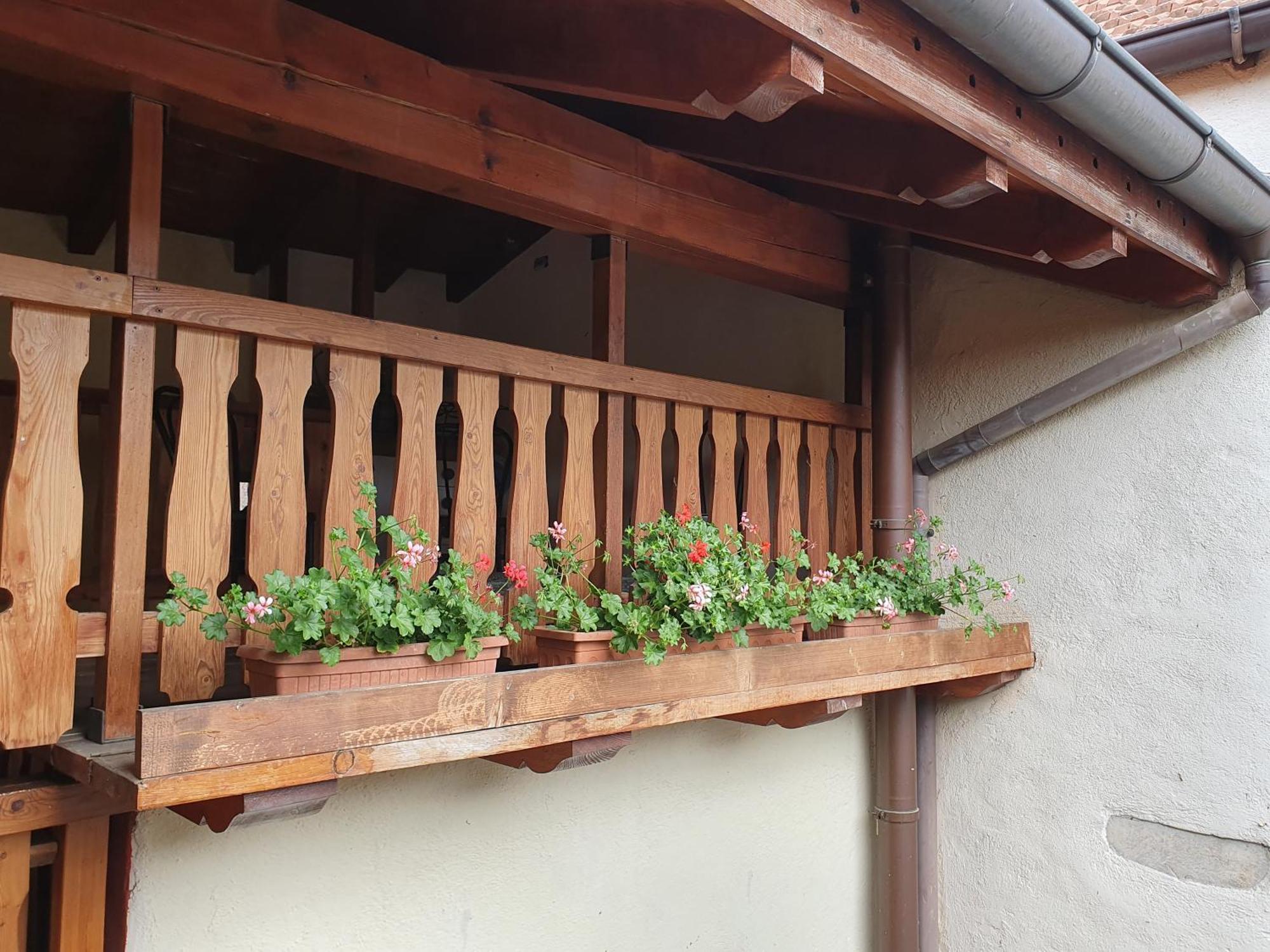Appartamenti Vacanze E Camere Roccetta Fiorita Петенаско Стая снимка